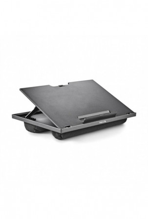 Nešiojamas aušintuvas NGS...