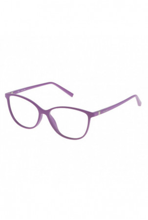 Akinių rėmas moterims...