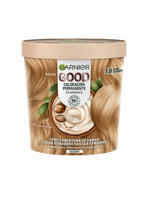 Ilgalaikiai dažai Garnier...