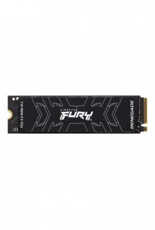 Kietasis diskas Kingston...