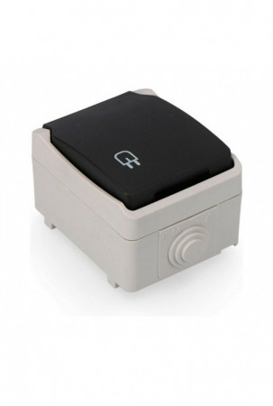 Kištuko lizdas EDM Su...