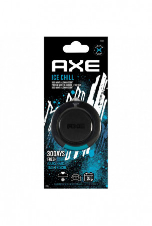 Automobilio oro gaiviklis...