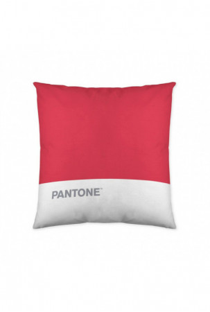 Pagalvėlės užvalkalas...