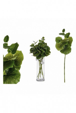 Dekoratyvinis augalas...