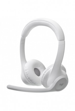 Ausinės su mikrofonu...