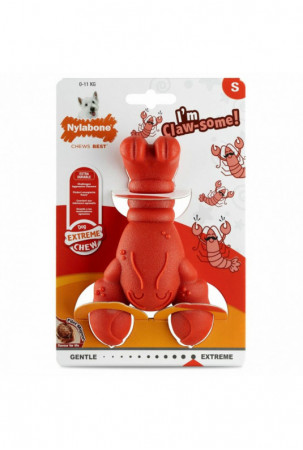 Šuns žaislas Nylabone...