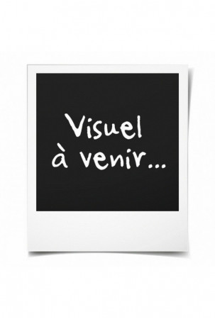 Oro gruzdintuvė NINJA...