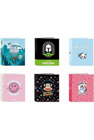 Papkė su skyriais Safta