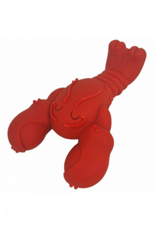 Šunų kramtomasis žaislas...