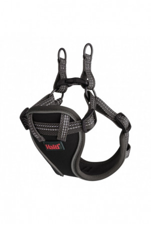 Šuns pakinktai Company of...