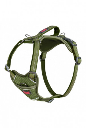 Šuns pakinktai Company of...