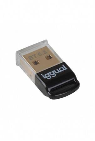 Bluetooth adapteris iggual...
