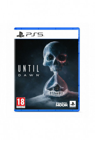 PlayStation 5 vaizdo...