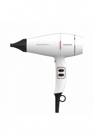 Plaukų džiovintuvas Taurus...