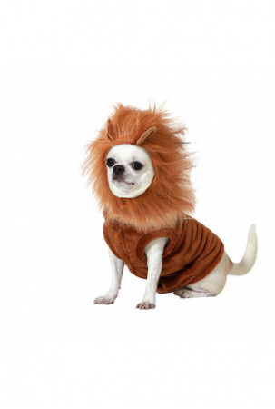 Šuns kostiumas Dydžiai Liūtas