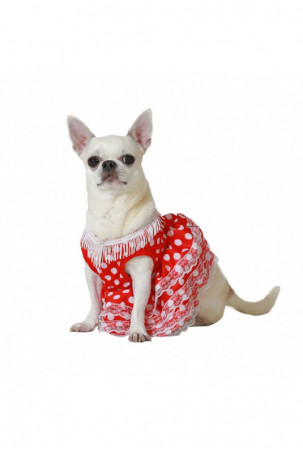 Šuns kostiumas M dydis...