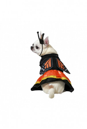 Šuns kostiumas Dydžiai Drugys