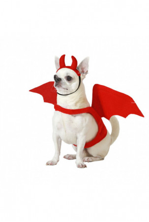 Šuns kostiumas Demonas M dydis