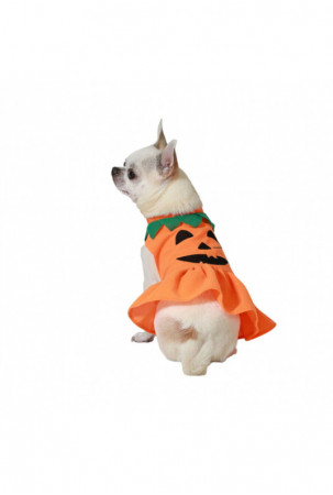 Šuns kostiumas Moliūgas M...