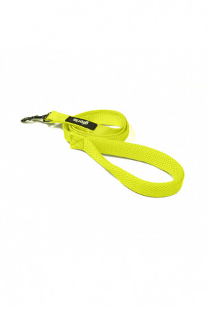 Šuns pavadėlis Gloria...