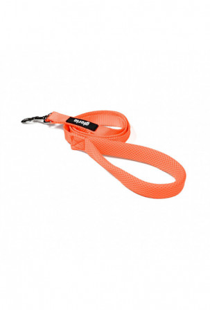 Šuns pavadėlis Gloria...