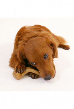 Šuns žaislas Nylabone Višta...