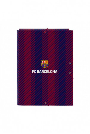 Papkė su skyriais F.C....