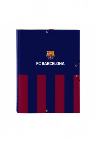 Papkė su skyriais F.C....