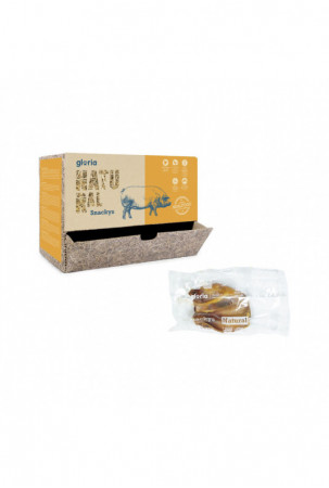 Pašarai Gloria
