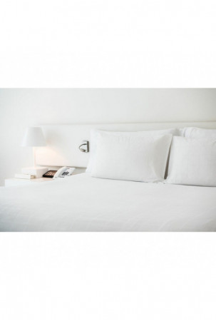 Viršutinis lapas Hosteline...