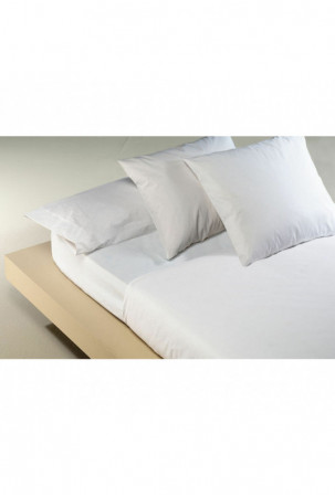 Viršutinis lapas Hosteline...