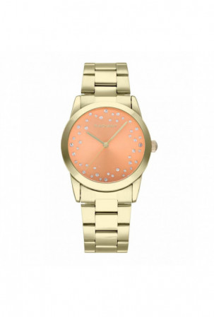 Laikrodis vyrams Radiant...