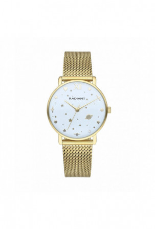 Laikrodis vyrams Radiant...