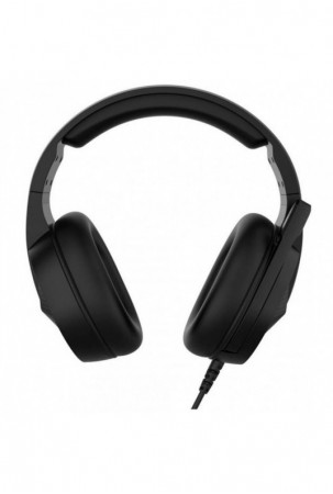 Ausinės su mikrofonu...