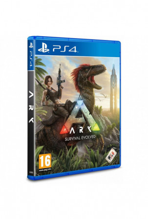 PlayStation 4 vaizdo...