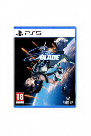 PlayStation 5 vaizdo...