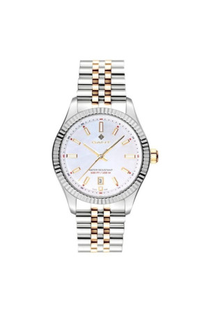 Laikrodis vyrams Gant G171016