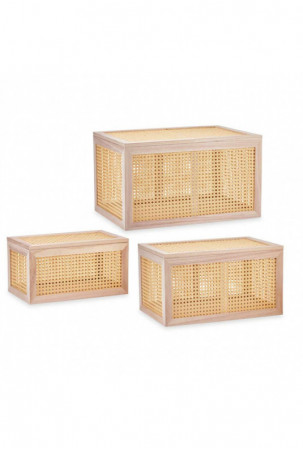 Dėžių rinkinys Paulovnijos...