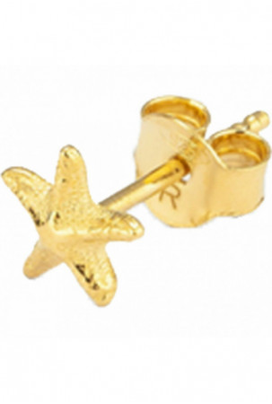 Moteriški auskarai Radiant...