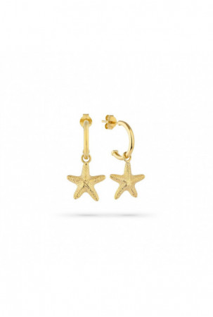 Moteriški auskarai Radiant...