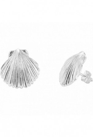 Moteriški auskarai Radiant...