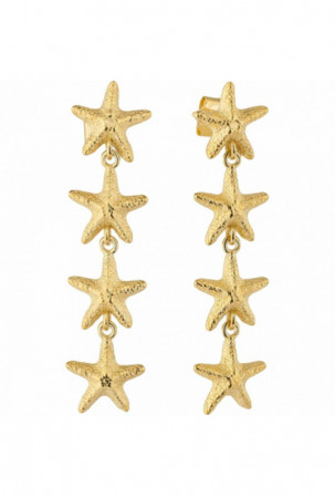 Moteriški auskarai Radiant...