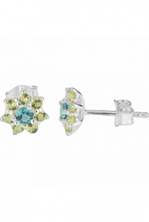 Moteriški auskarai Radiant...