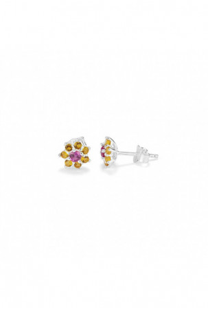 Moteriški auskarai Radiant...