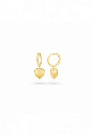 Moteriški auskarai Radiant...