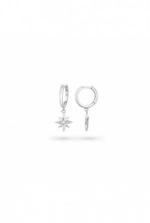 Moteriški auskarai Radiant...