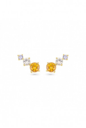 Moteriški auskarai Radiant...