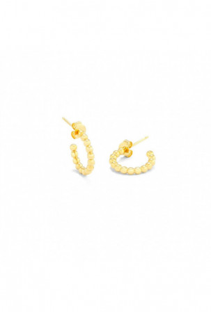 Moteriški auskarai Radiant...