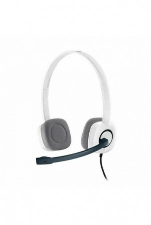 Ausinės su mikrofonu...