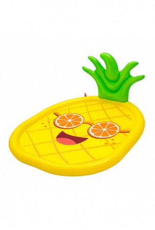 Vandens purkštuvas ir...